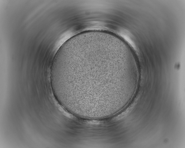 X0000089971329200707202002