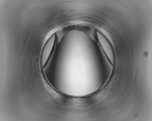 X0000089971330200707202002