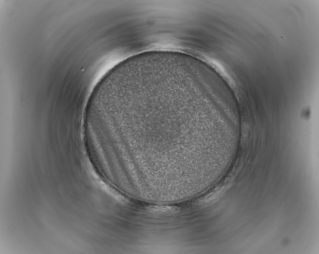 X0000089971331200707202002