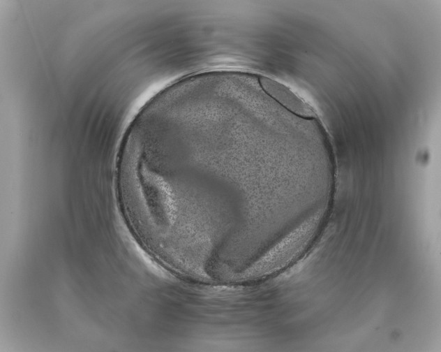 X0000089971333200707202002