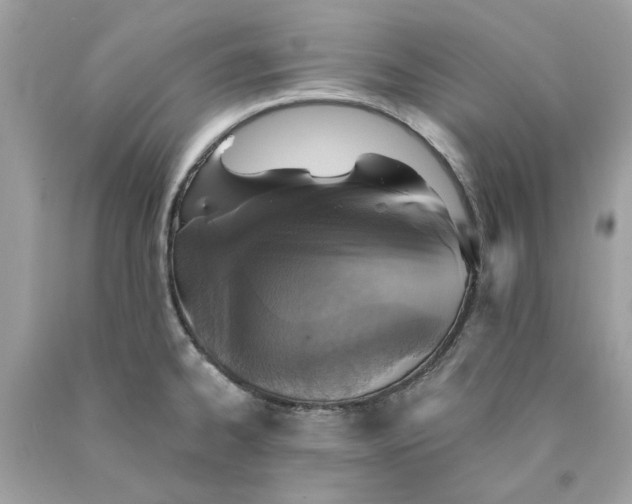 X0000089971334200707202002