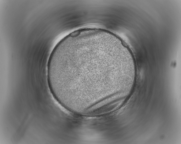 X0000089971335200707202002