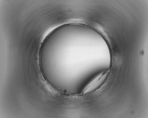 X0000089971336200707202002