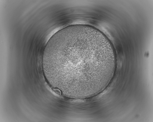 X0000089971337200707202002