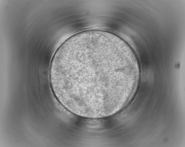 X0000089971338200707202002