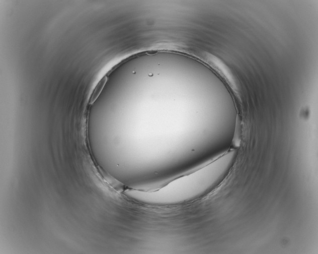 X0000089971340200707202002