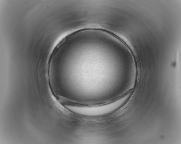 X0000089971342200707202002