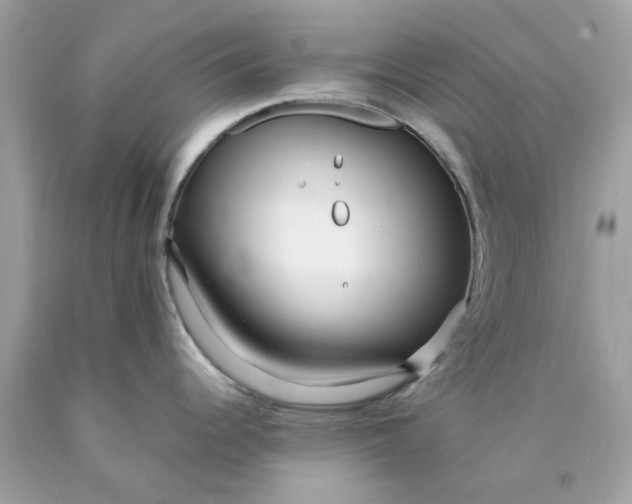 X0000089971344200707202002