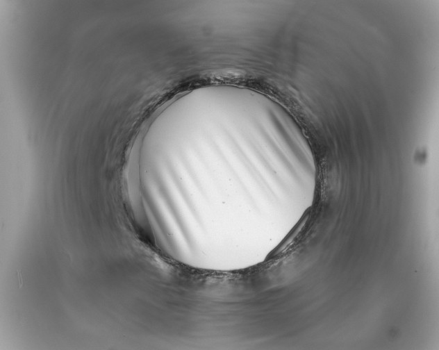 X0000089971345200707202002