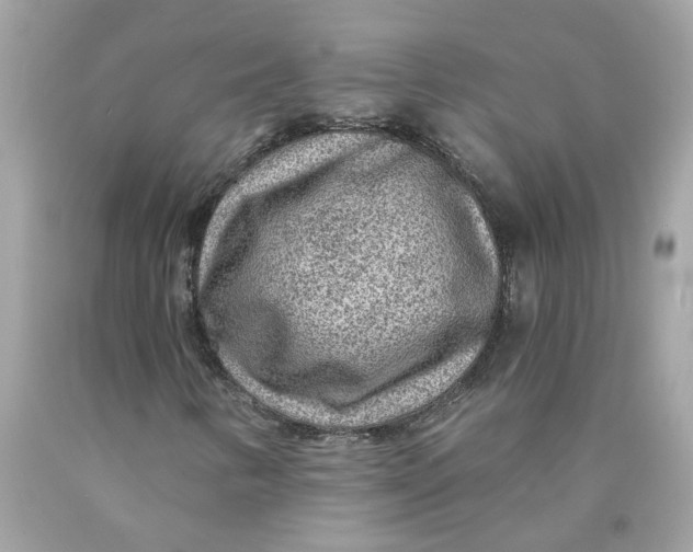 X0000089971346200707202002