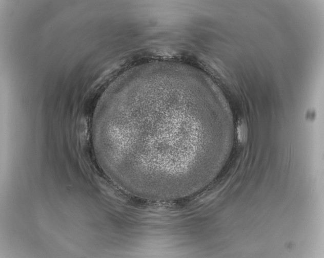 X0000089971347200707202002