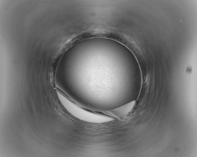 X0000089971348200707202002