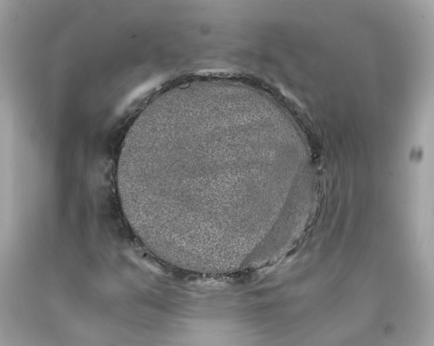 X0000089971351200707202002