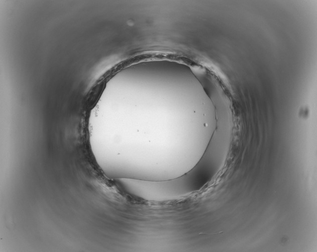 X0000089971352200707202002