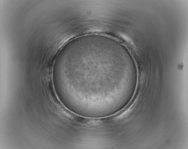 X0000089971353200707202002