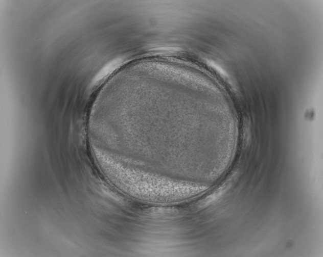 X0000089971354200707202002