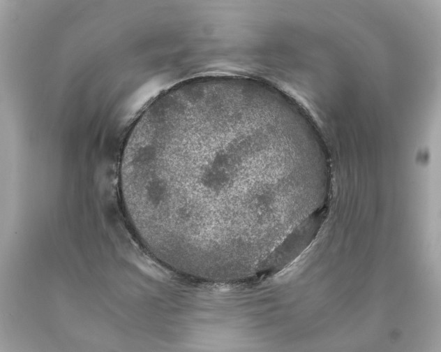 X0000089971355200707202002