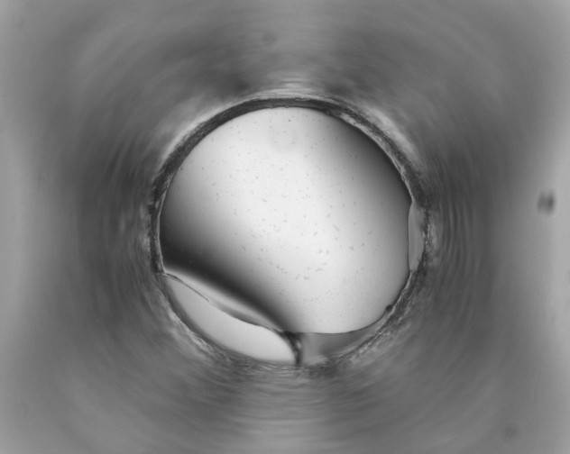 X0000089971356200707202002