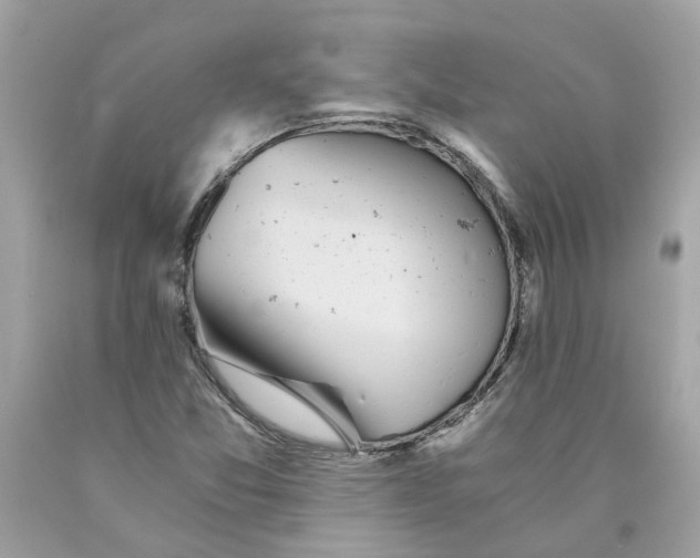 X0000089971357200707202002