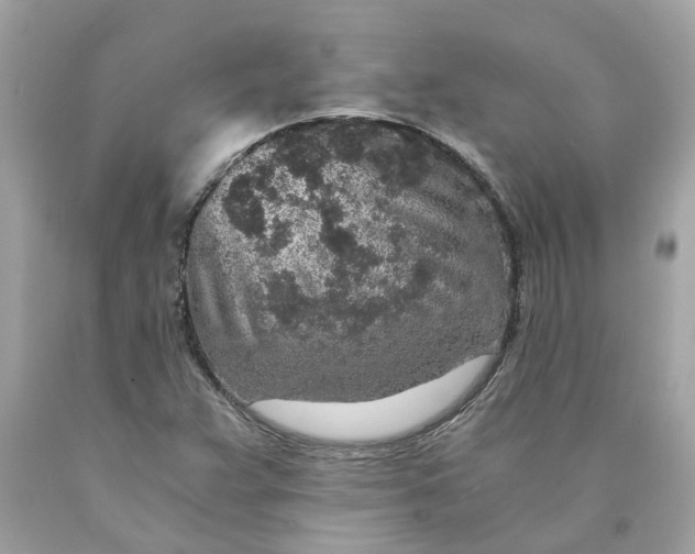 X0000089971359200707202001