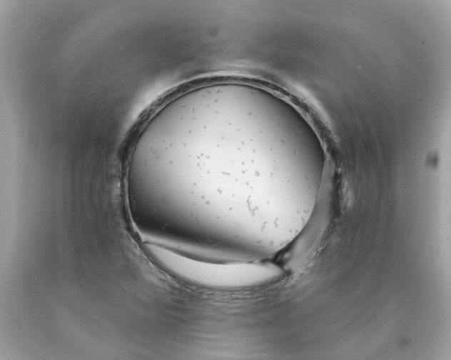 X0000089971360200707202001