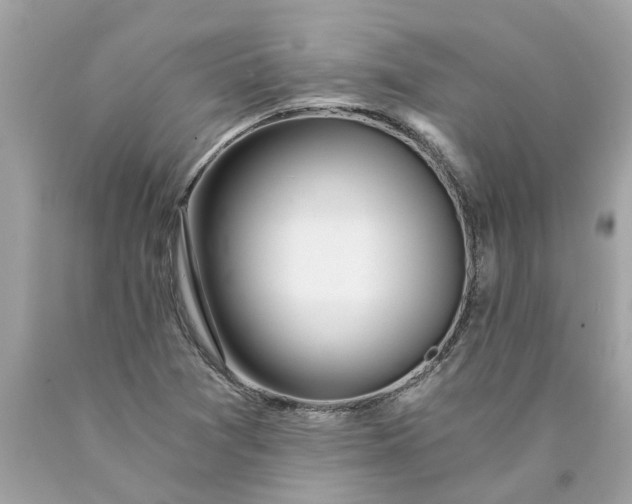 X0000089971361200707202001