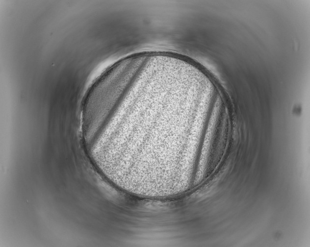 X0000089971366200707202001