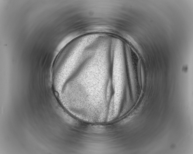 X0000089971370200707202001