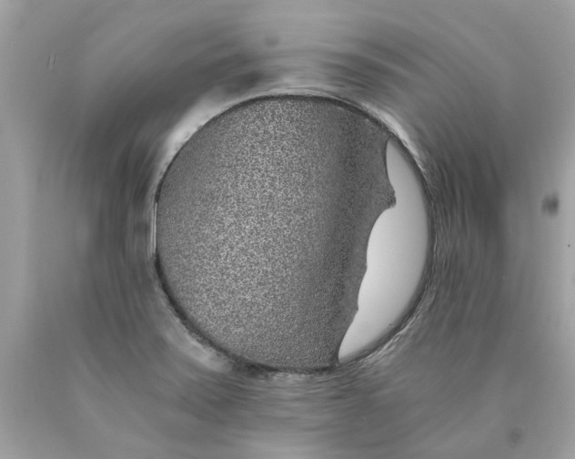 X0000089971371200707202001