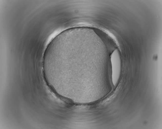 X0000089971373200707202001