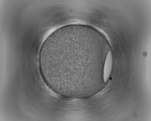 X0000089971375200707202001