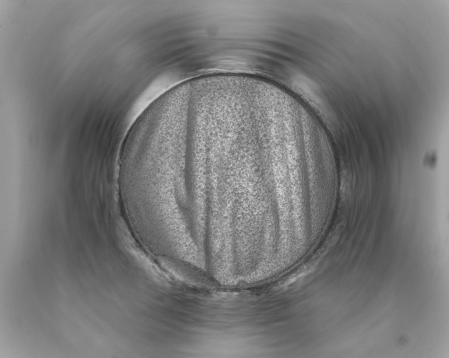 X0000089971378200707202001