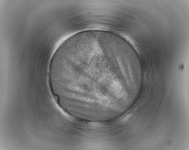 X0000089971379200707202001