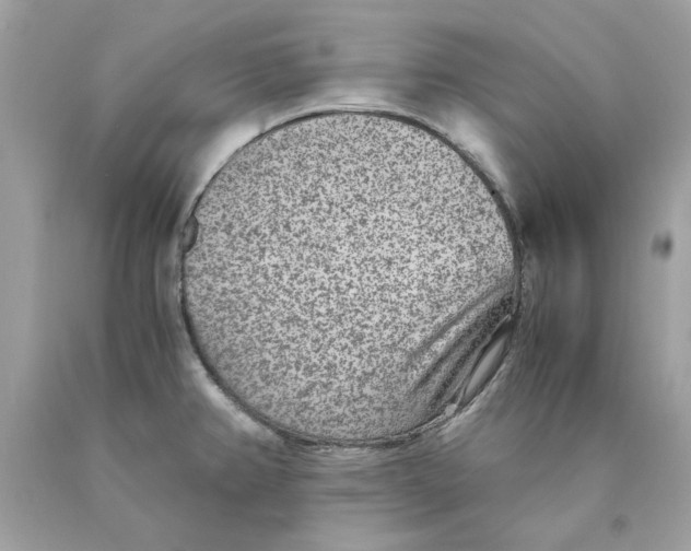 X0000089971382200707202001