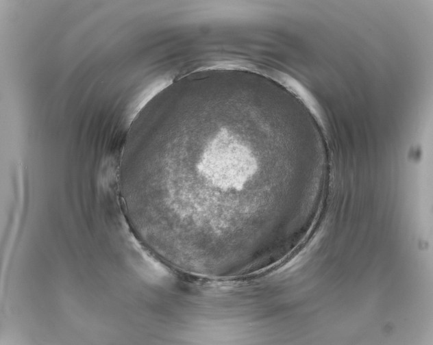 X0000089971385200707202001