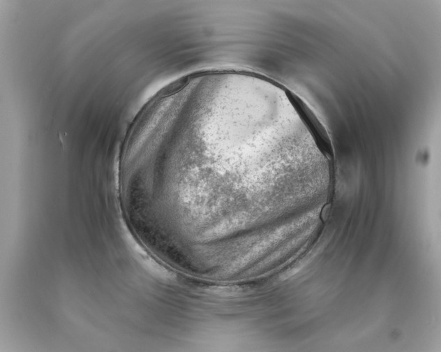 X0000089971388200707202001