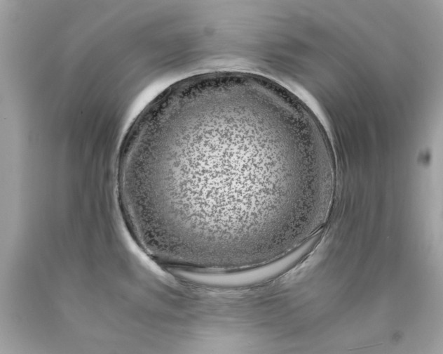 X0000089971389200707202001