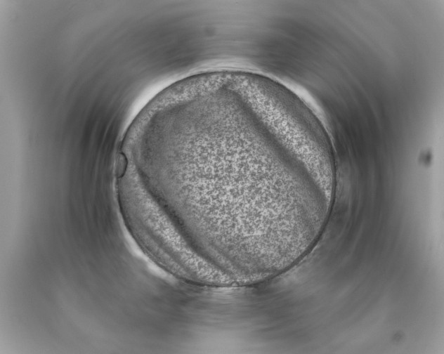 X0000089971390200707202001