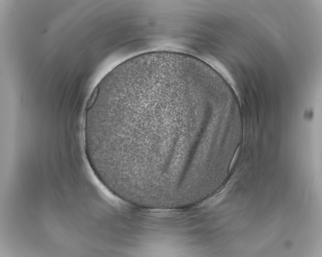 X0000089971391200707202001