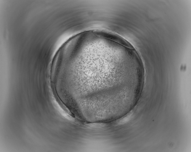 X0000089971392200707202001