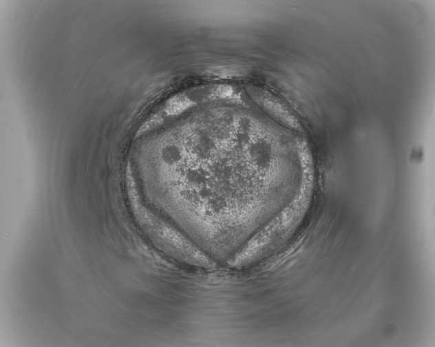 X0000089971393200707202000