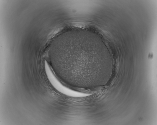 X0000089971394200707202000