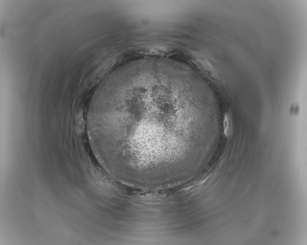 X0000089971395200707202000