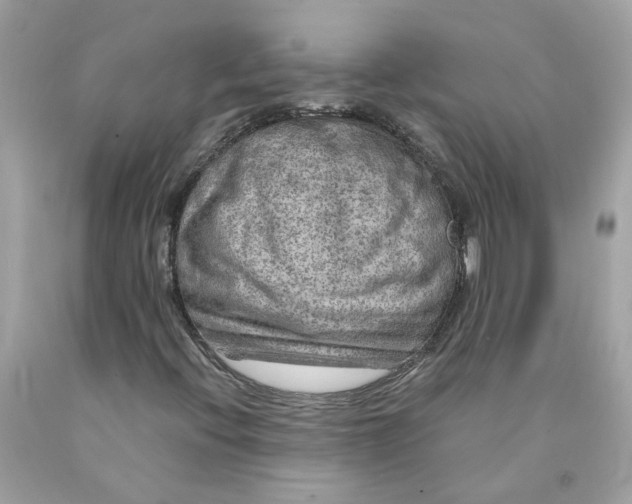 X0000089971396200707202000