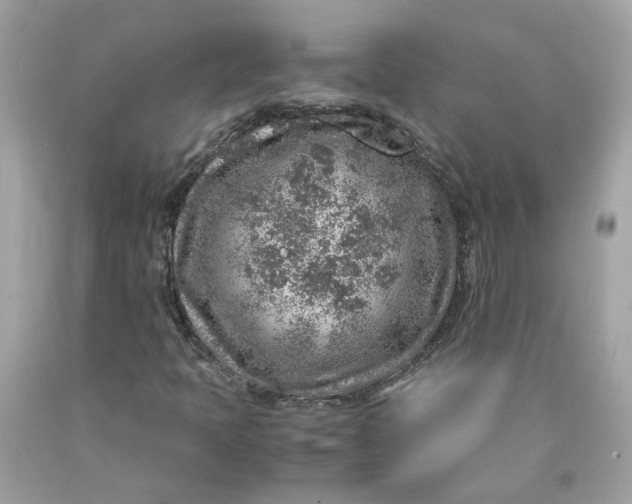 X0000089971397200707202000