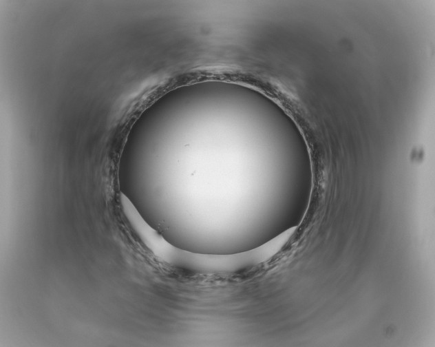 X0000089971398200707202000