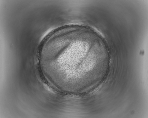 X0000089971400200707202000