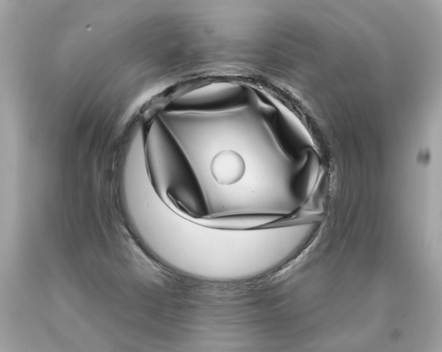 X0000089971402200707202000