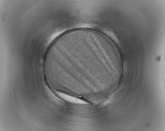 X0000089971404200707202001