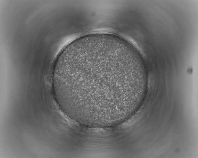 X0000089971405200707202001